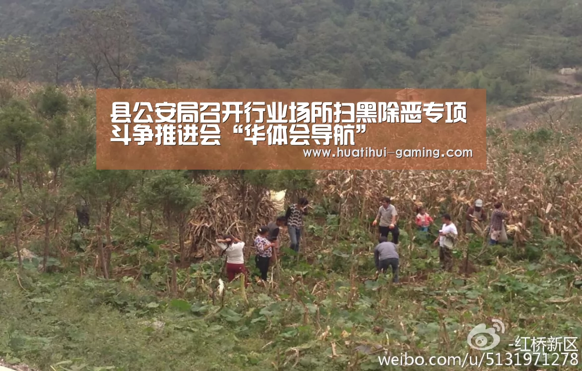 华体会下载